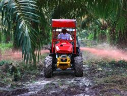 Holding Perkebunan Nusantara Siapkan Replanting 862 Hektare Sawit Renta di Air Molek 2